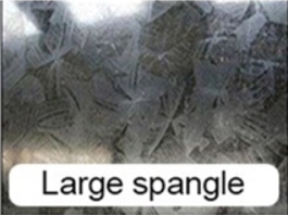 large spangle